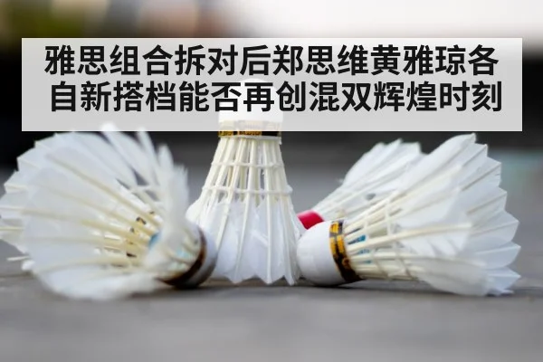 badminton shuttlecock court